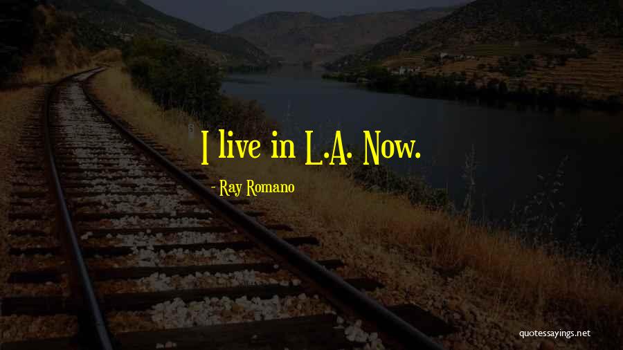Desacuerdo Quotes By Ray Romano Desacuerdo Quotes By Ray Romano