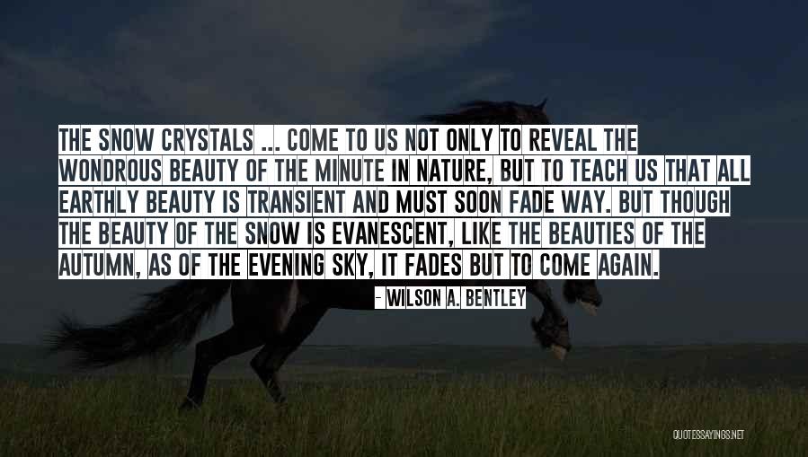 Desafiando A Los Gigantes Quotes By Wilson A. Bentley Desafiando A Los Gigantes Quotes By Wilson A. Bentley