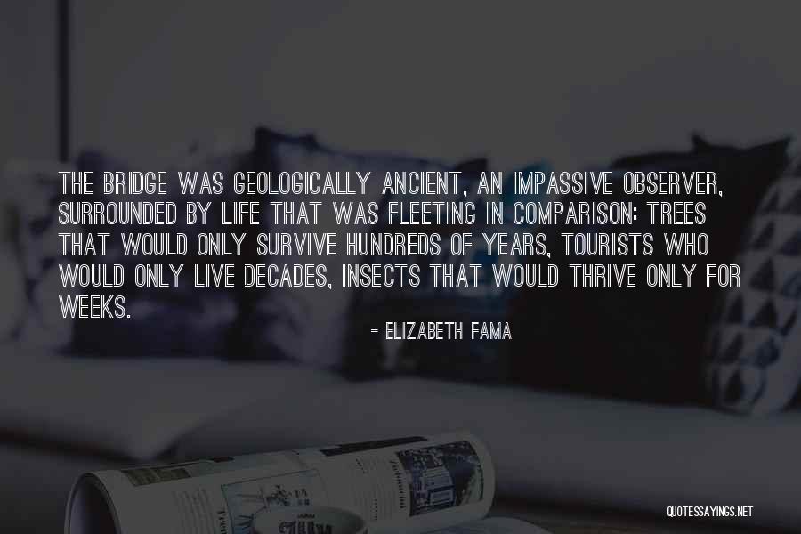 Desagradecida Quotes By Elizabeth Fama Desagradecida Quotes By Elizabeth Fama