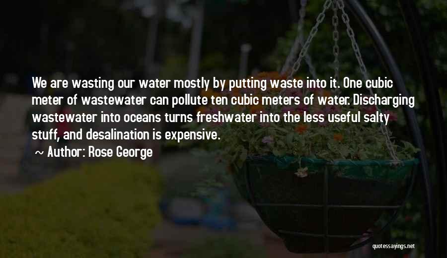 Desalination Quotes By Rose George