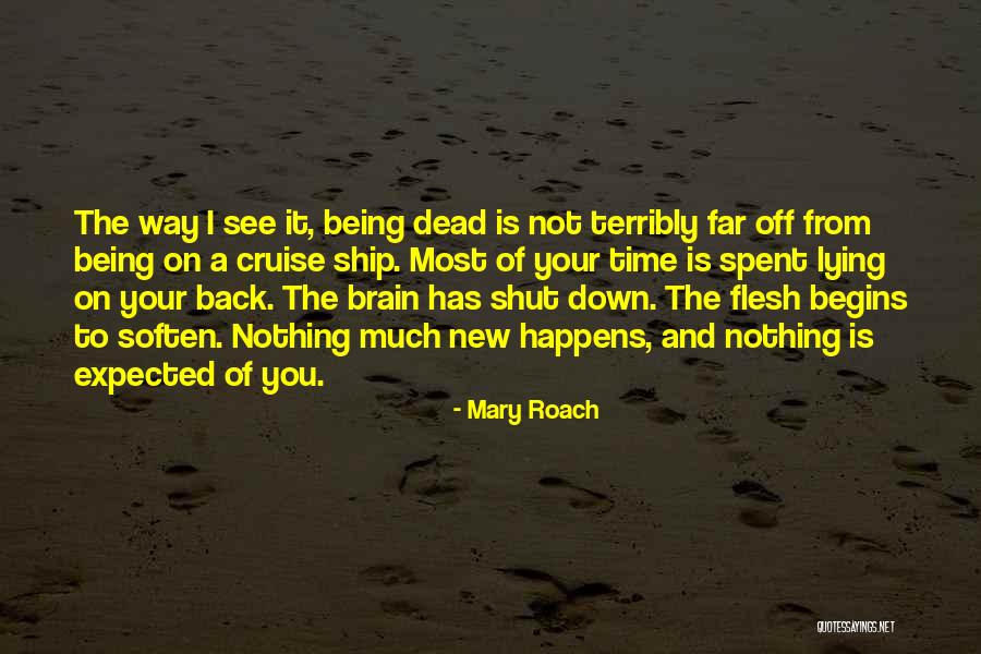 Desalvo Construction Quotes By Mary Roach Desalvo Construction Quotes By Mary Roach