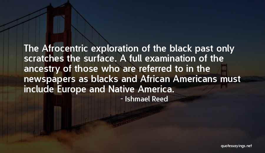 Desanctis Dina Quotes By Ishmael Reed Desanctis Dina Quotes By Ishmael Reed