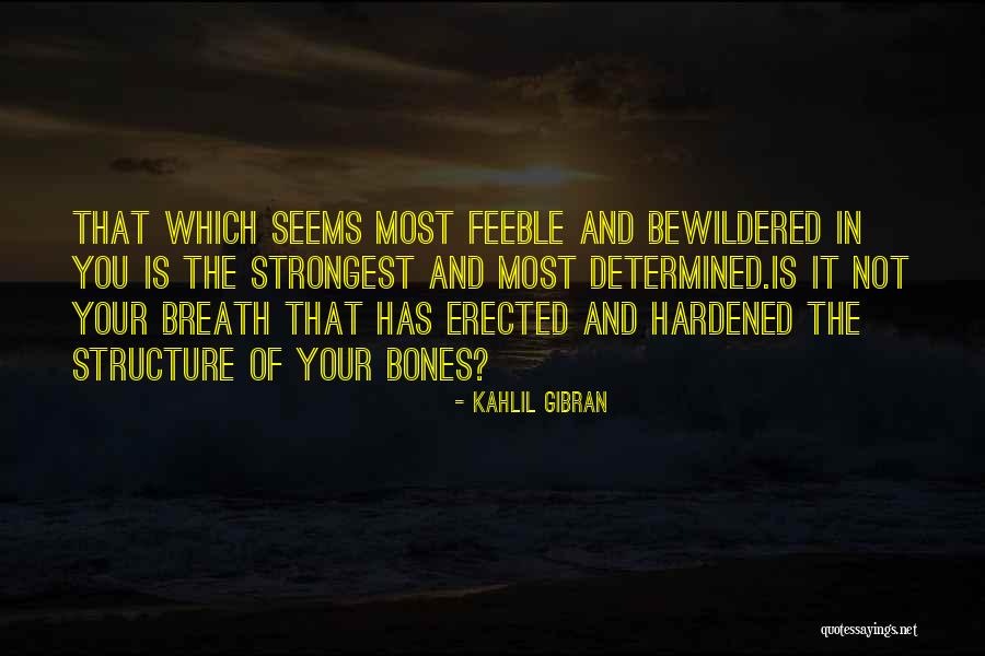 Desanimo Espiritual Quotes By Kahlil Gibran Desanimo Espiritual Quotes By Kahlil Gibran