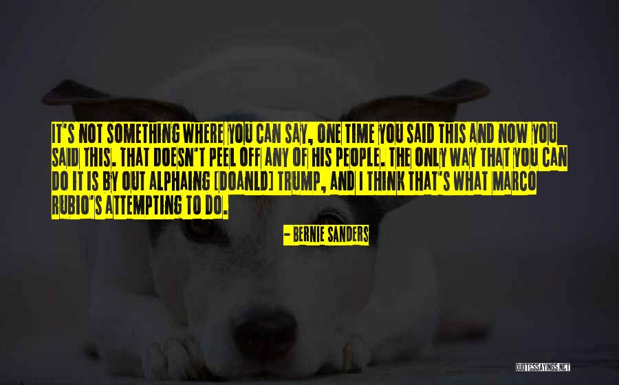 Desaree Company Quotes By Bernie Sanders Desaree Company Quotes By Bernie Sanders