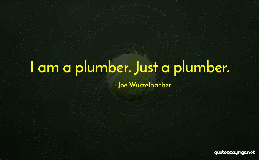Desaree Company Quotes By Joe Wurzelbacher Desaree Company Quotes By Joe Wurzelbacher