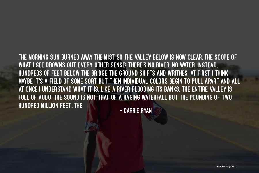 Desaria Quotes By Carrie Ryan Desaria Quotes By Carrie Ryan