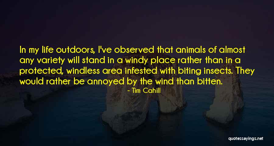 Desarrollar Gluteos Quotes By Tim Cahill Desarrollar Gluteos Quotes By Tim Cahill