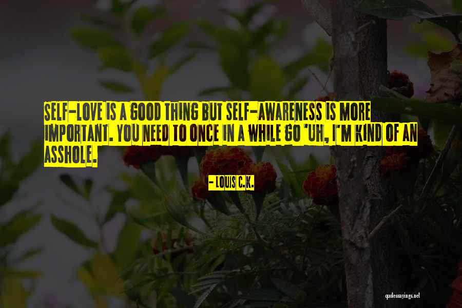 Desassossego Significado Quotes By Louis C.K. Desassossego Significado Quotes By Louis C.K.