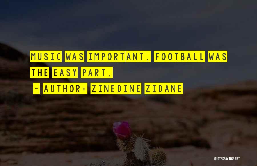 Desastres Naturales Quotes By Zinedine Zidane