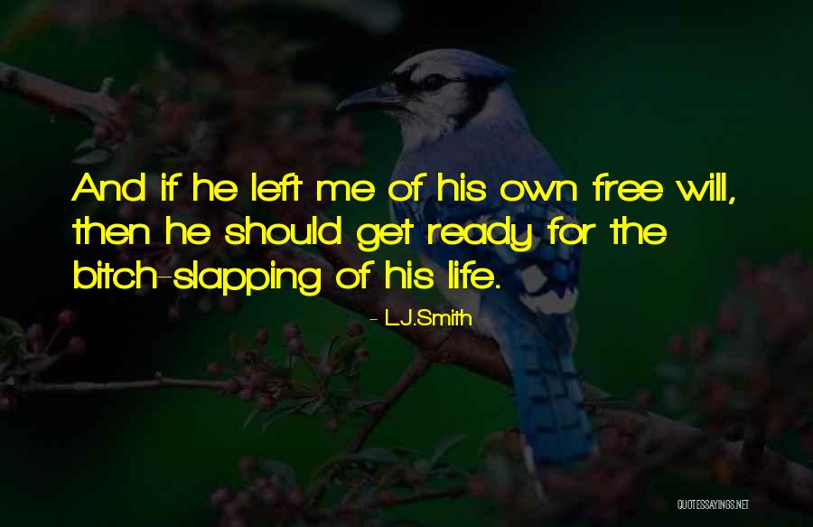 Desastrosa In English Quotes By L.J.Smith Desastrosa In English Quotes By L.J.Smith