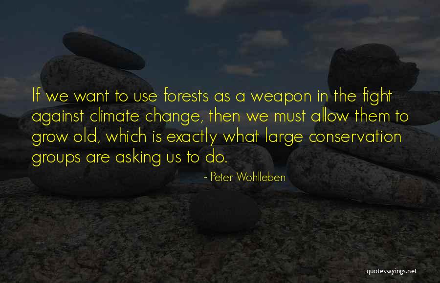 Desastrosa In English Quotes By Peter Wohlleben Desastrosa In English Quotes By Peter Wohlleben