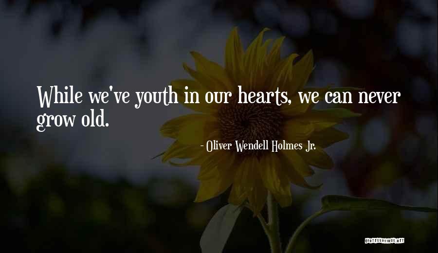 Desatendidos Quotes By Oliver Wendell Holmes Jr. Desatendidos Quotes By Oliver Wendell Holmes Jr.