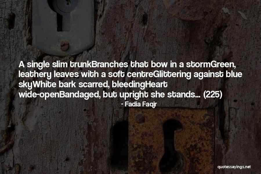 Desaulniers Forest Quotes By Fadia Faqir Desaulniers Forest Quotes By Fadia Faqir