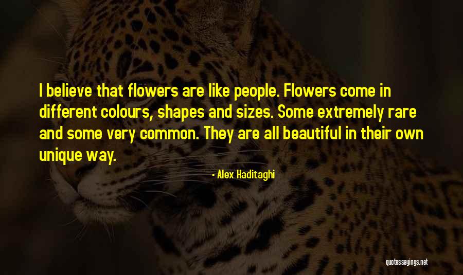 Desaulniers Quotes By Alex Haditaghi Desaulniers Quotes By Alex Haditaghi