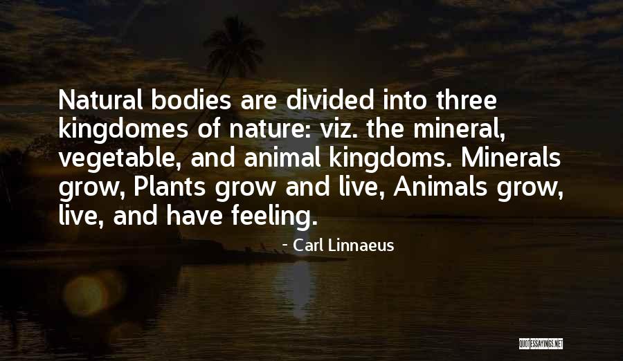Desborde Marco Quotes By Carl Linnaeus Desborde Marco Quotes By Carl Linnaeus