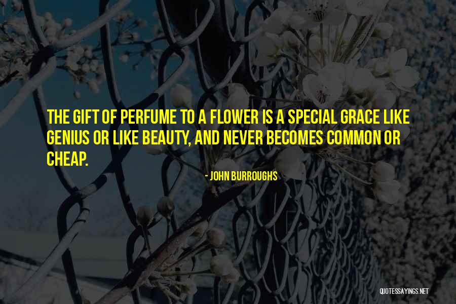 Descarregadores Quotes By John Burroughs Descarregadores Quotes By John Burroughs
