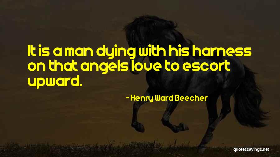 Descendants 3 Audrey Quotes By Henry Ward Beecher Descendants 3 Audrey Quotes By Henry Ward Beecher