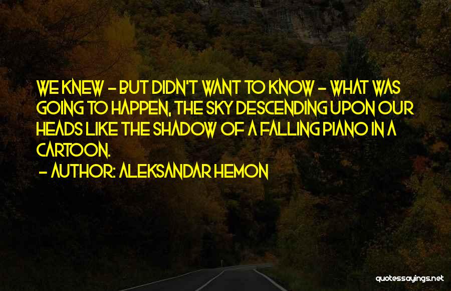 Descending Quotes By Aleksandar Hemon