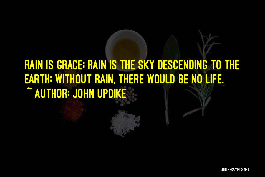Descending Quotes By John Updike
