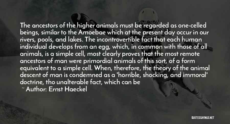 Descent Man Quotes By Ernst Haeckel