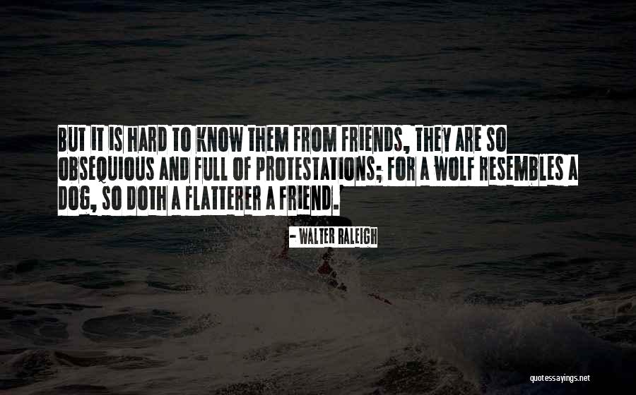 Descenza Diamonds Quotes By Walter Raleigh Descenza Diamonds Quotes By Walter Raleigh