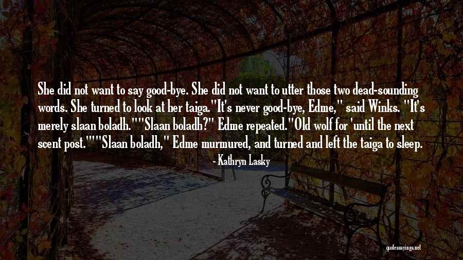 Desconfiado Sinonimo Quotes By Kathryn Lasky Desconfiado Sinonimo Quotes By Kathryn Lasky