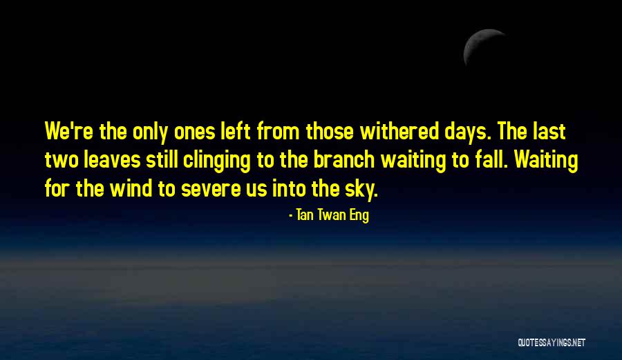 Descopera Cuvintele Quotes By Tan Twan Eng Descopera Cuvintele Quotes By Tan Twan Eng