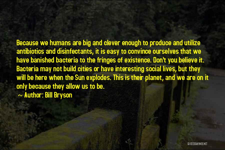Descreve Quotes By Bill Bryson