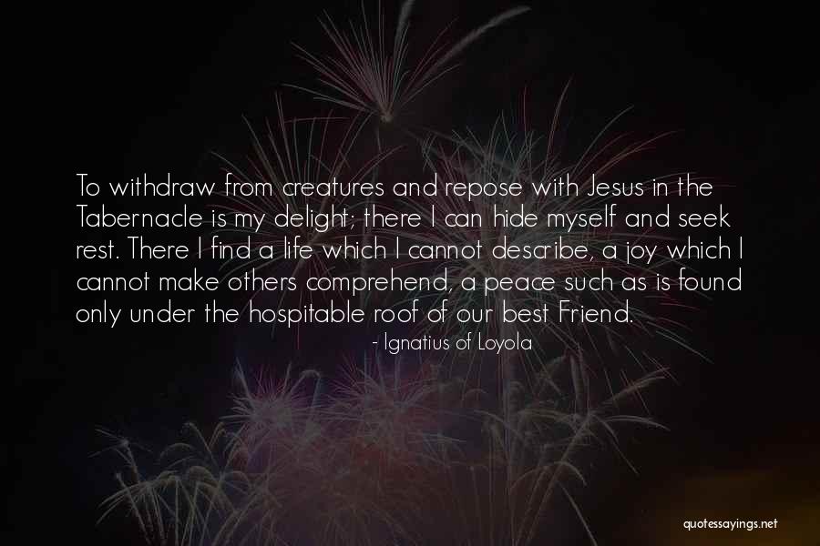 Describe Myself Quotes By Ignatius Of Loyola