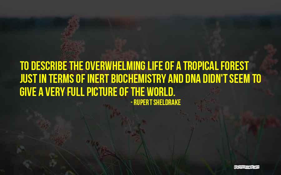 Describe Other Terms Quotes By Rupert Sheldrake Describe Other Terms Quotes By Rupert Sheldrake