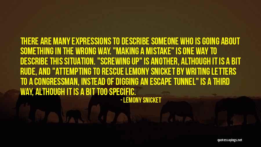 Describe Quotes By Lemony Snicket