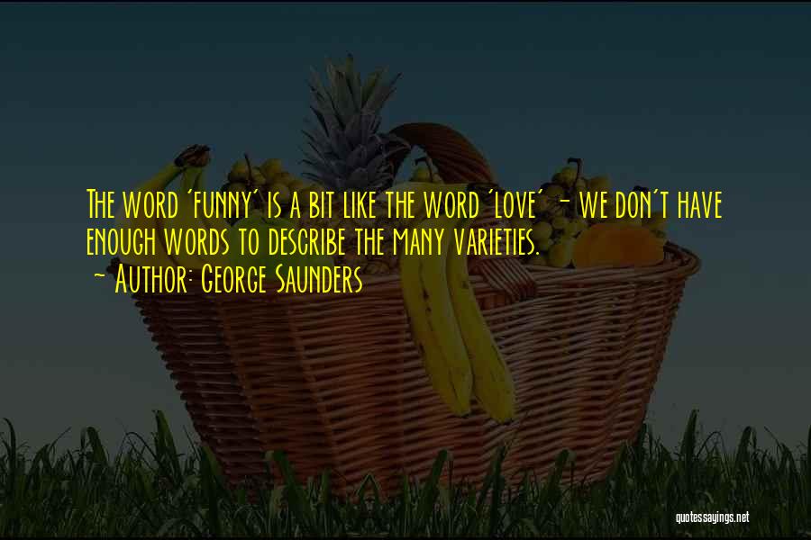 Describe Yourself Funny Quotes By George Saunders