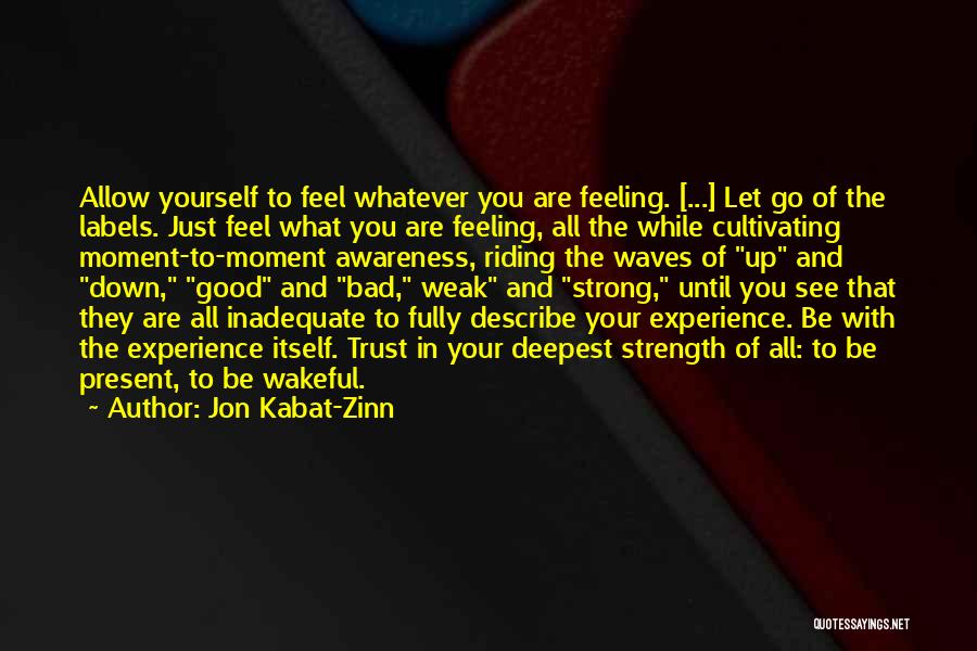 Describe Yourself Quotes By Jon Kabat-Zinn