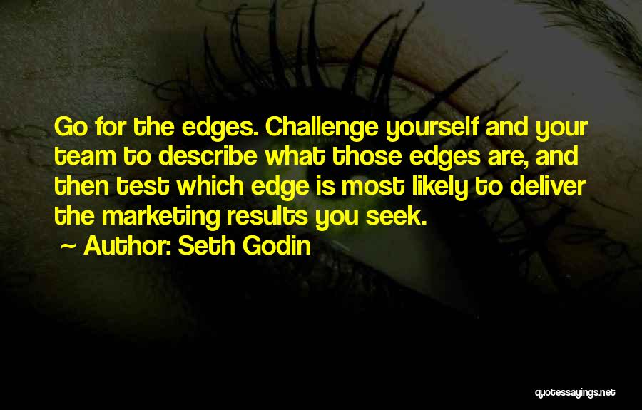 Describe Yourself Quotes By Seth Godin