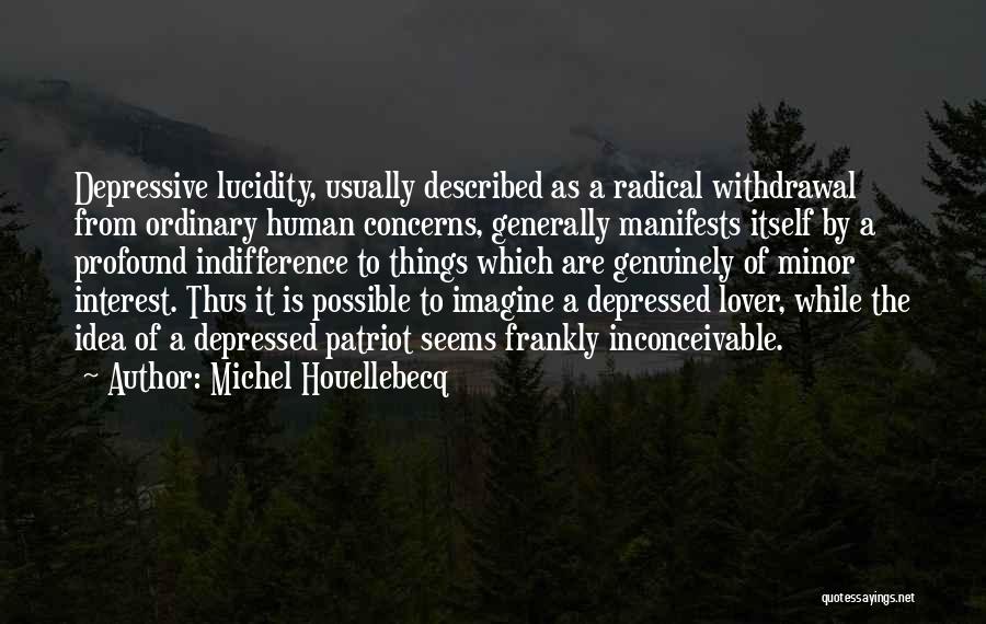 Described Quotes By Michel Houellebecq