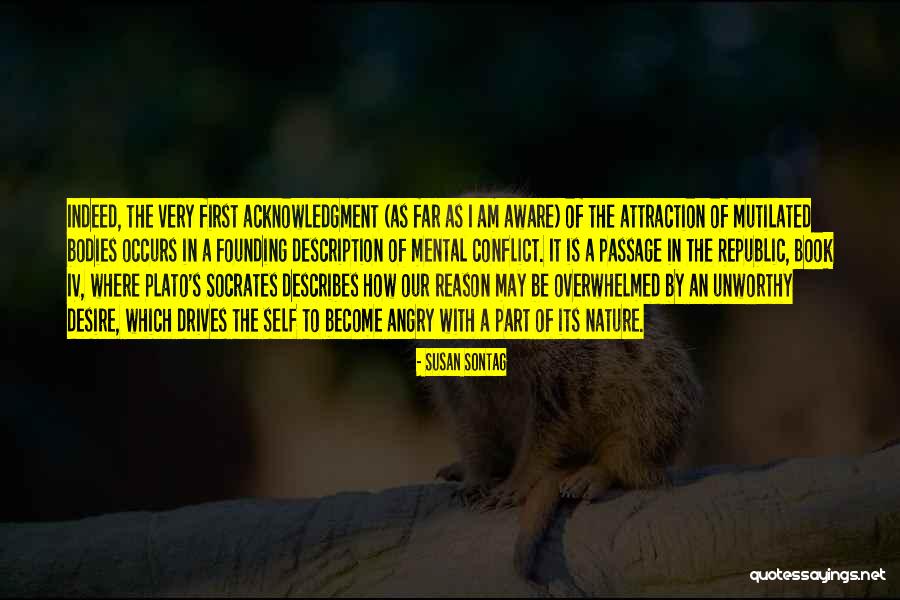 Describes Quotes By Susan Sontag Describes Quotes By Susan Sontag