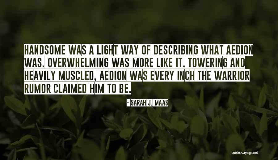 Describing Him Quotes By Sarah J. Maas