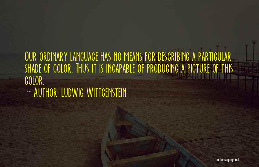 Describing Quotes By Ludwig Wittgenstein