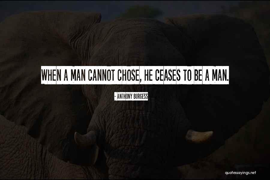 Describir Los Personajes Quotes By Anthony Burgess Describir Los Personajes Quotes By Anthony Burgess