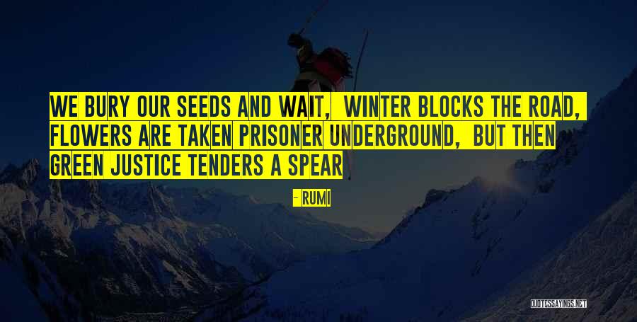 Descried Jasper Quotes By Rumi Descried Jasper Quotes By Rumi
