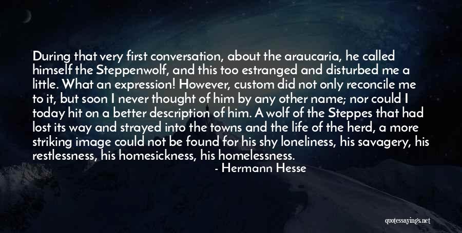 Description Quotes By Hermann Hesse