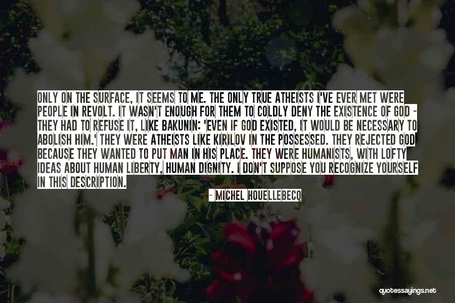 Description Yourself Quotes By Michel Houellebecq Description Yourself Quotes By Michel Houellebecq