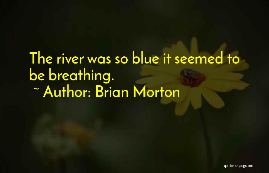 Descriptive Writing Quotes By Brian Morton