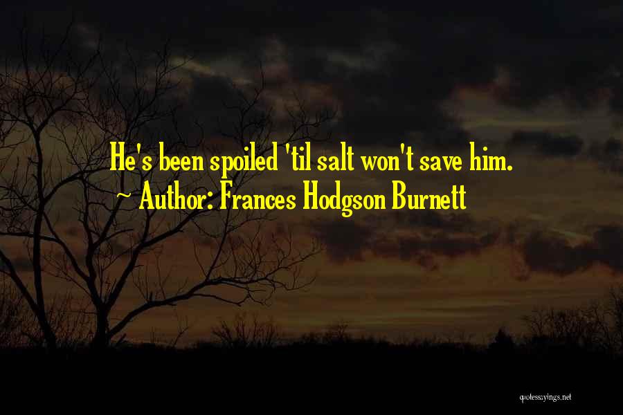 Descriptive Writing Quotes By Frances Hodgson Burnett