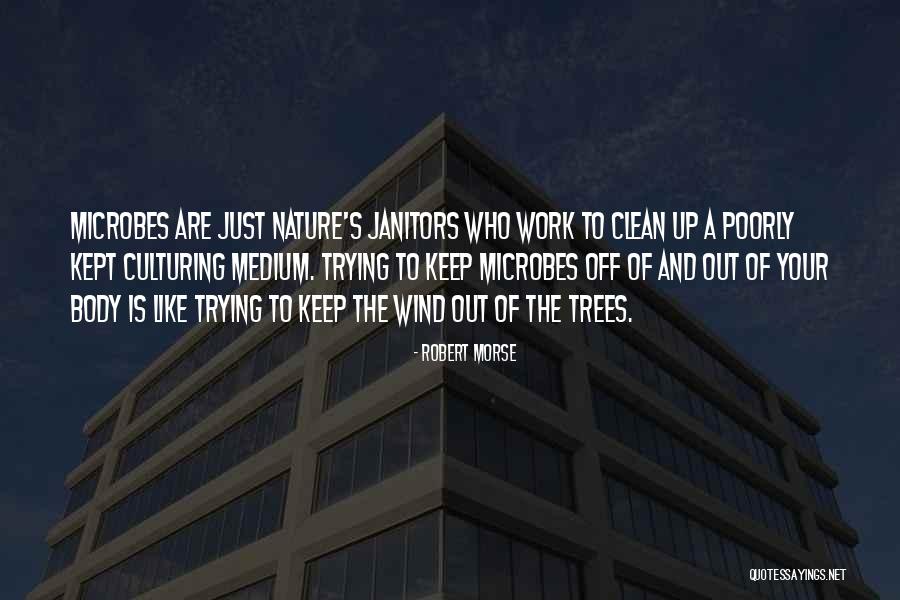 Descrizione Innominato Quotes By Robert Morse Descrizione Innominato Quotes By Robert Morse