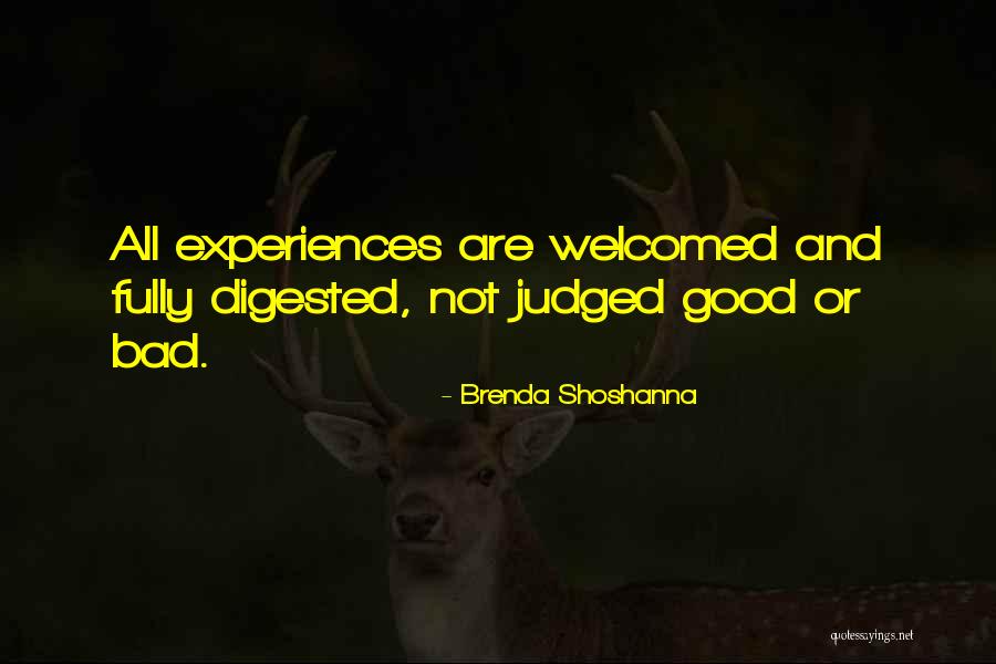 Desdichado Translation Quotes By Brenda Shoshanna Desdichado Translation Quotes By Brenda Shoshanna