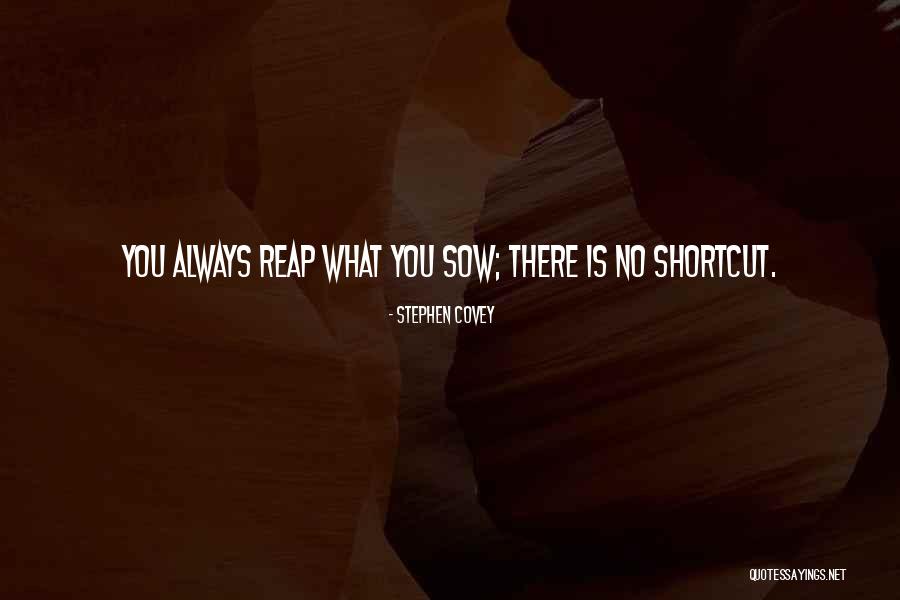 Desecrating Quotes By Stephen Covey Desecrating Quotes By Stephen Covey
