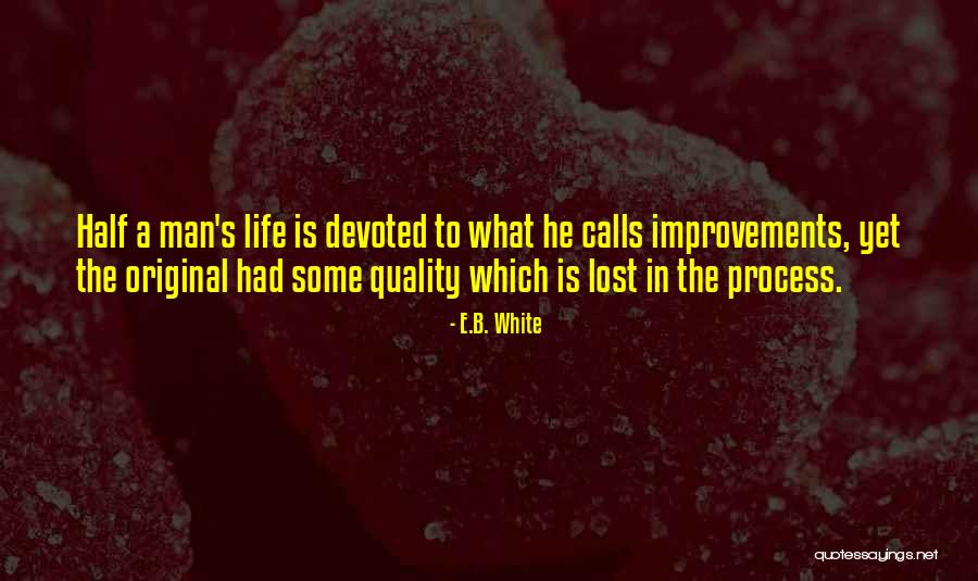 Desenam Quotes By E.B. White Desenam Quotes By E.B. White