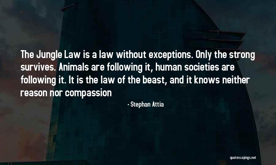 Desenhando Skate Quotes By Stephan Attia Desenhando Skate Quotes By Stephan Attia