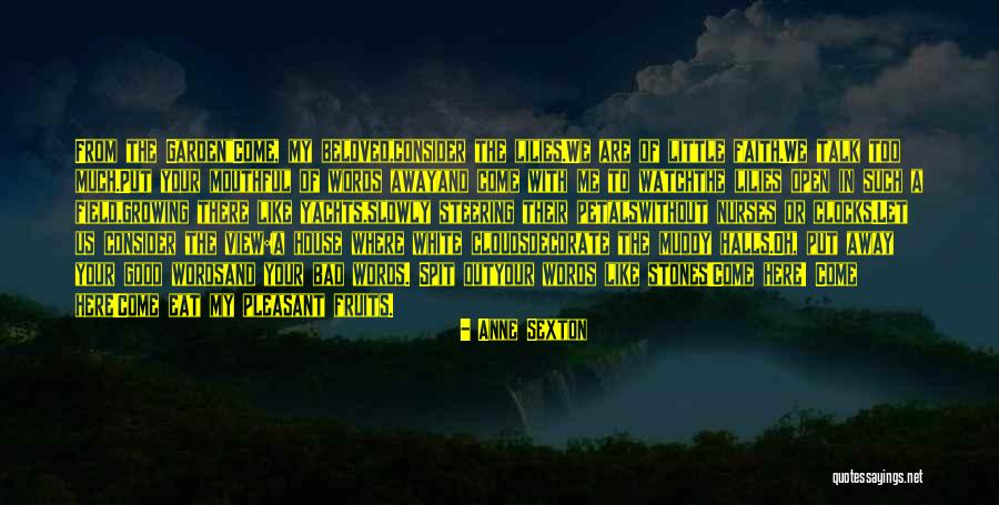 Desensk Video Quotes By Anne Sexton Desensk Video Quotes By Anne Sexton